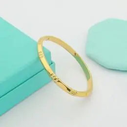 tiffany bracelets s_1234543